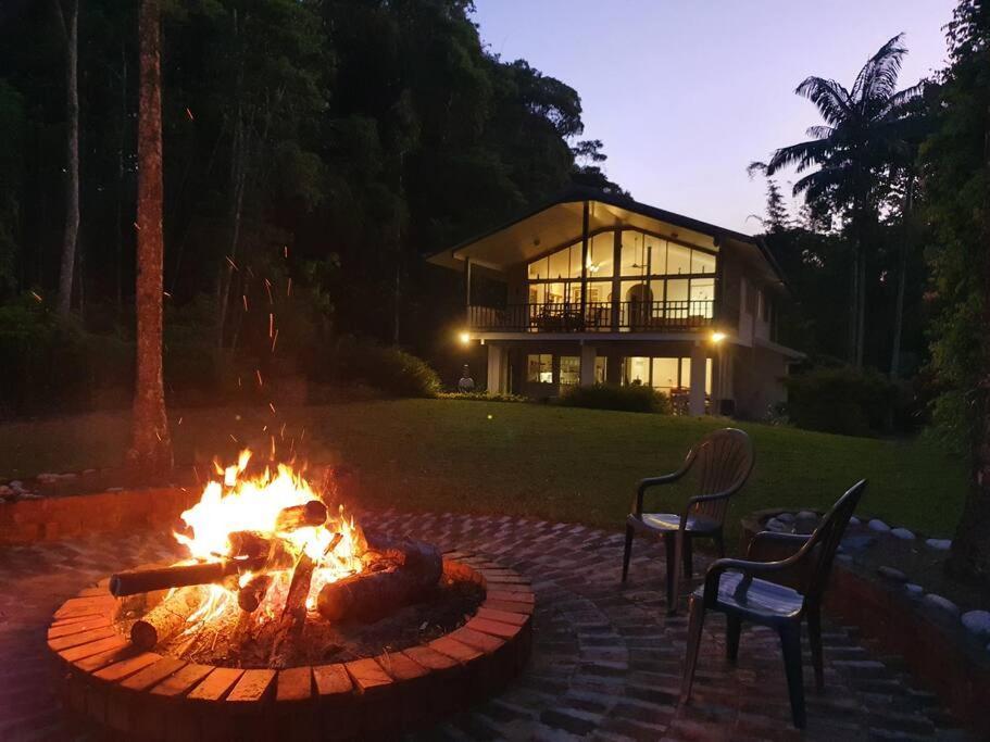 דירות קורנדה Private Rainforest Ridge Retreat מראה חיצוני תמונה